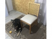 Conjunto Mesa de Jantar Viena Jamaica com 04 Cadeiras 1.40 x 0.90 Retangular