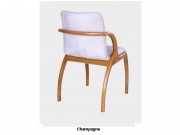 Poltrona com Braço Elvas C034